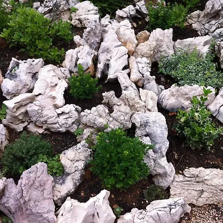 Bed & Breakfast & Pansion Odmor Rovanjska
