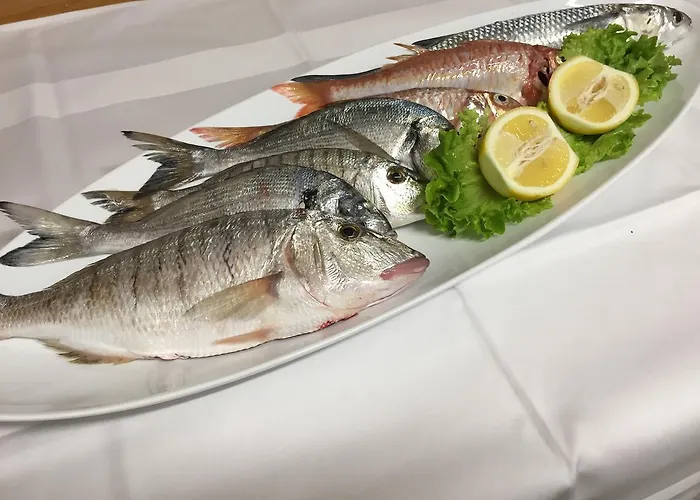 & Pansion Odmor 4* 로바니스카