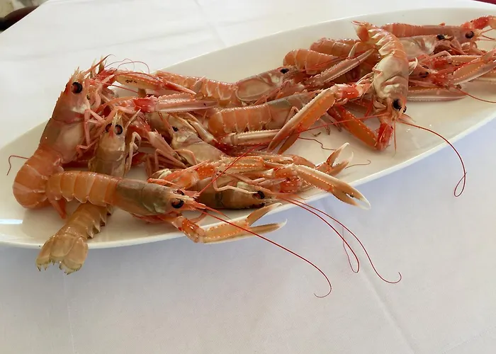 & Pansion Odmor Отель типа 