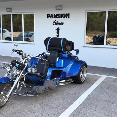 & Pansion Odmor