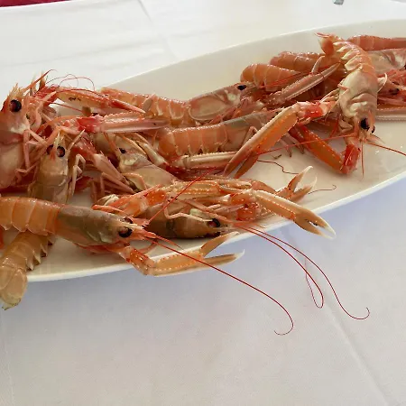 & Pansion Odmor Panzió