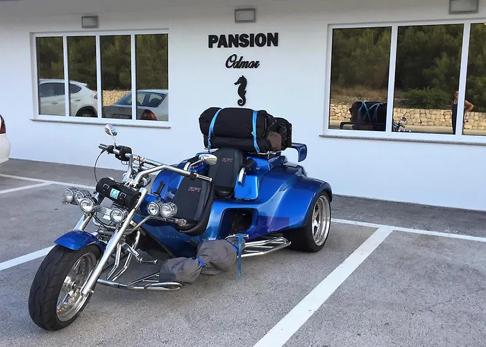 & Pansion Odmor